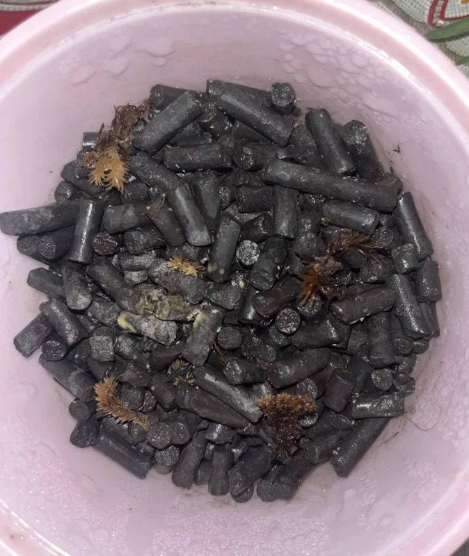 BBQ Charcoal substrate