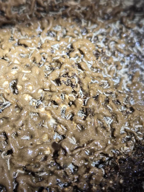 slime mold for springtails